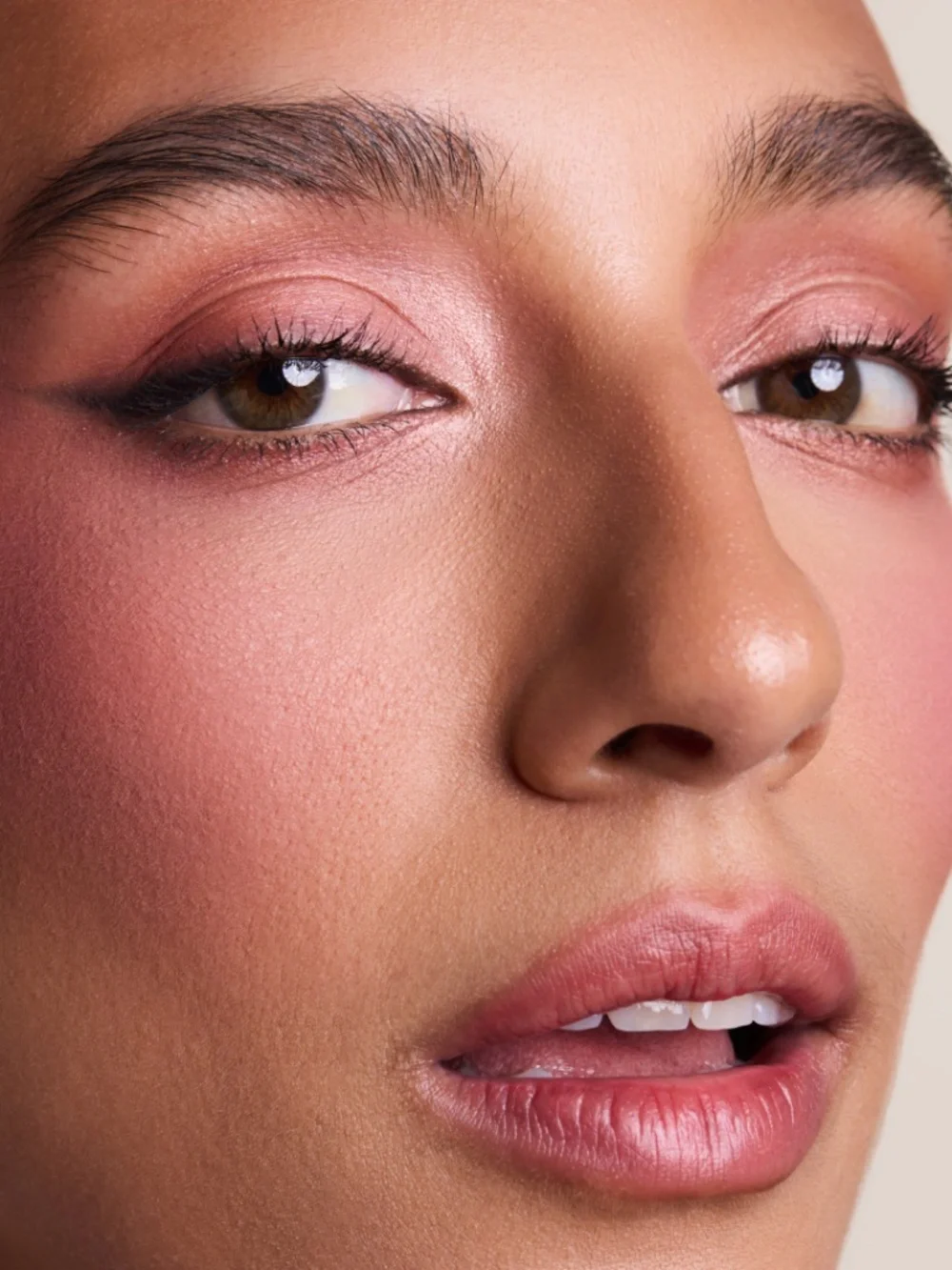 LITHE BEAUTY • SUNSET BLUSH PALETTE